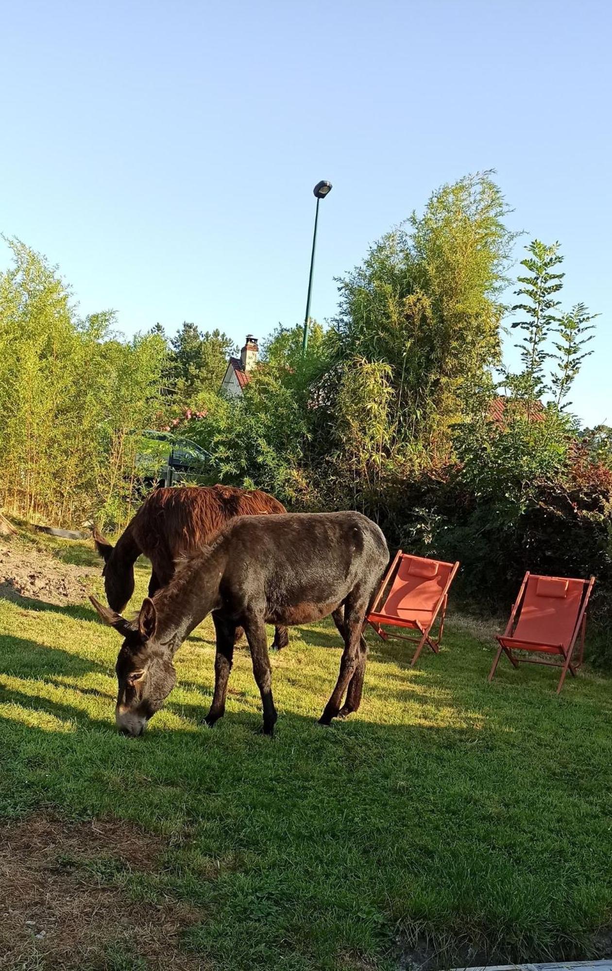 Les Anes Du Chateau D Hardelot, Pour 2 A 5 Pers Condette Exteriér fotografie